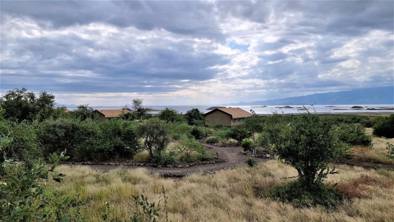 Glamping Africa Safari Natron 4*